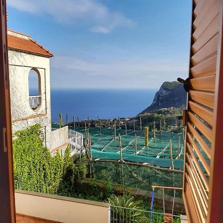 Villa Mariel Suites & Apartment Massa Lubrense Zimmer foto